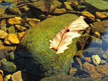 上海娱乐网：Hidden green treasures： Shanghai's back garden is waiting for you to explore to the fullest!