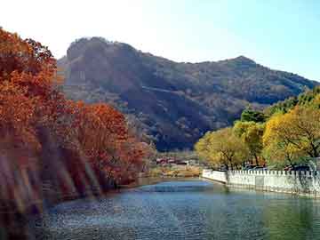 爱上海：Shanghai Social Activities and Cultural Exchanges