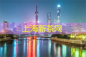 上海各区新茶工作室：浓浓爱意！上海年轻男女最喜欢选择哪些独特的情侣纹身？