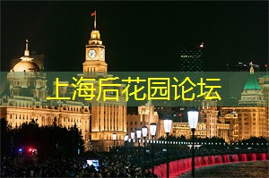 爱上海419：上海年轻人的打工经历大揭秘，是励志还是心酸？